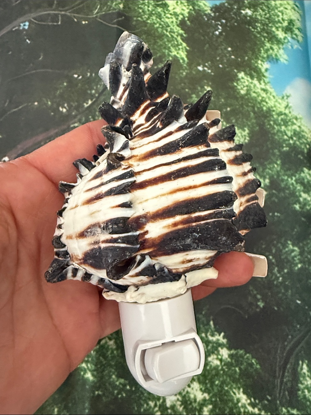 SeaShell Night Light - Wall decoration